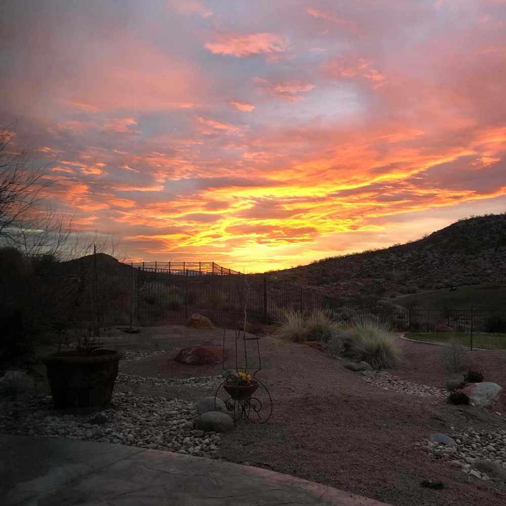 Meet your Posher, Anita